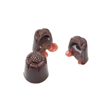bonbon Bonbon & Praline Box of 18